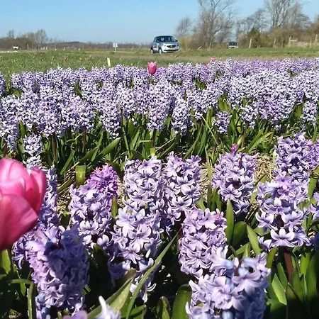 Botel Rembrandt Square Boat